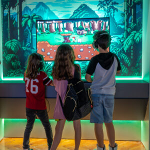 El Impacto en el público infantil desde la propuesta museológica.