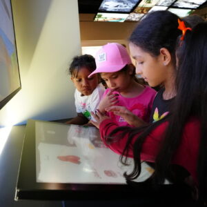 Tecnología con propósito: experiencias interactivas al servicio de la historia